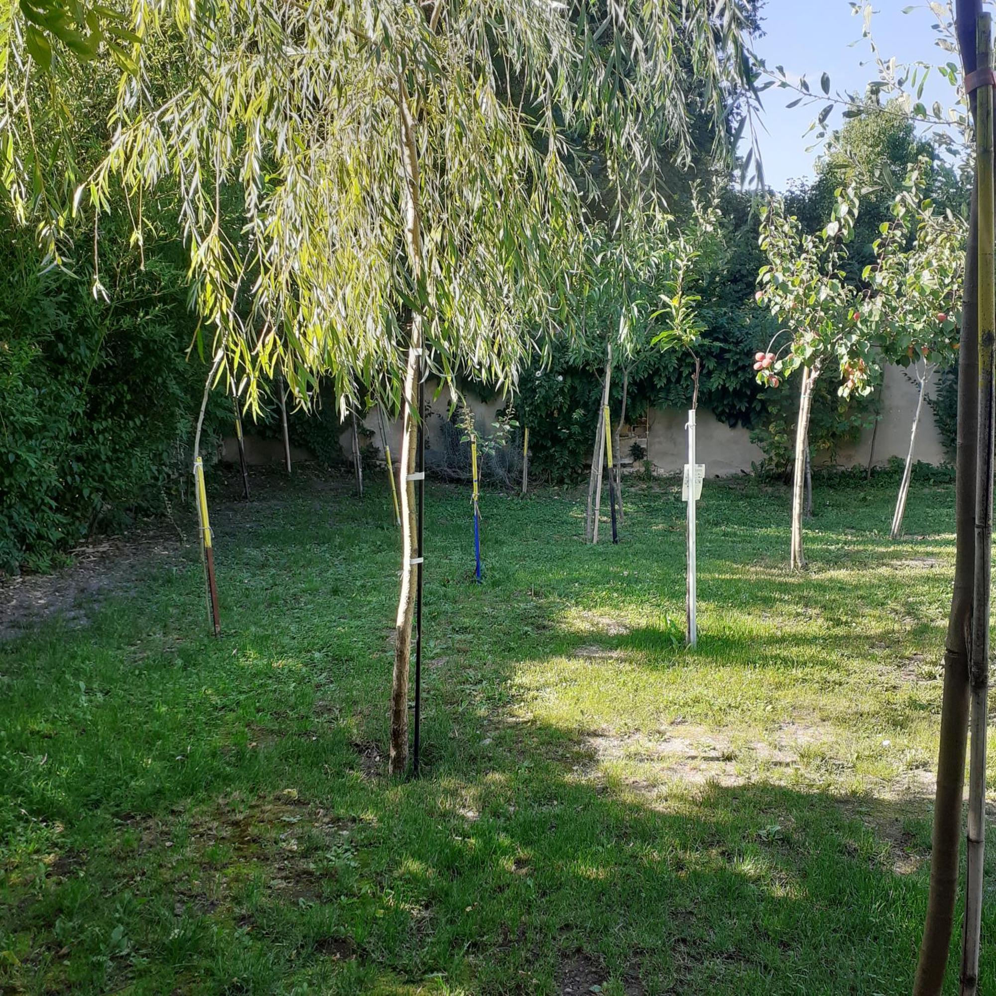 Chambres D'Hotes Gobillon Maintenon Exterior foto